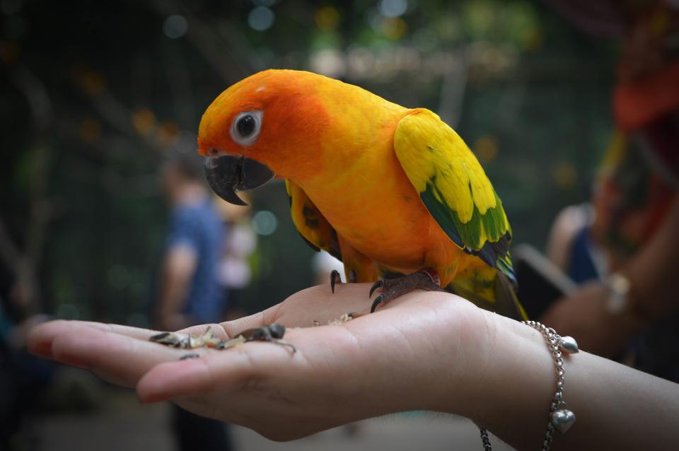 Bracelets jonc duo